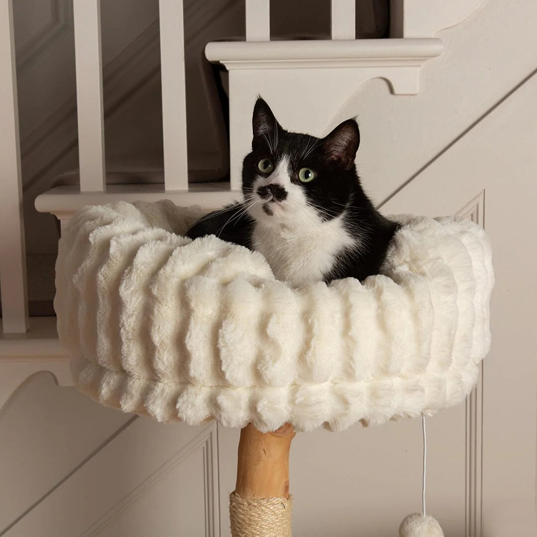 Alpine Colorado Cat Tree - Cream
