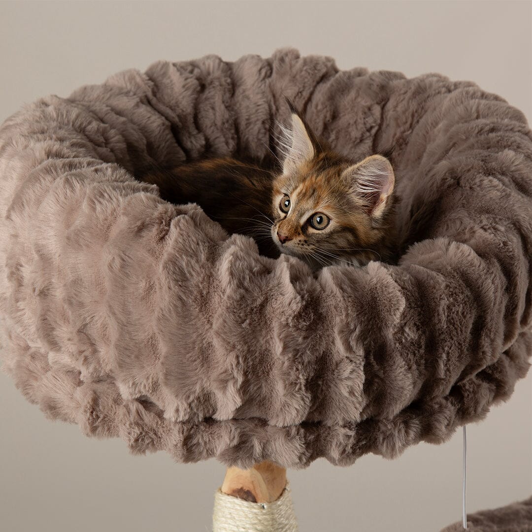 Alpine Colorado Cat Tree - Taupe