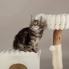 Alpine Himalayas Cat Tree - Cream