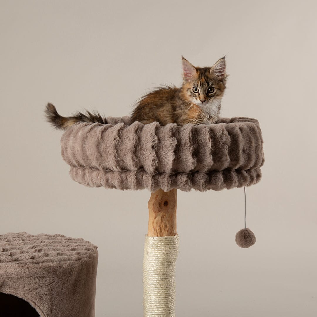 Alpine Himalayas Cat Tree - Taupe