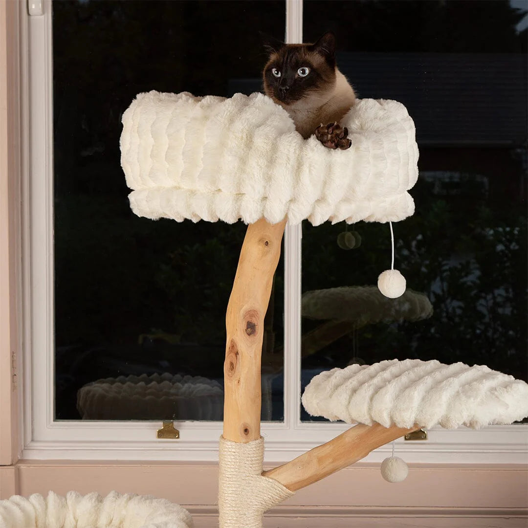 Alpine Pyrenees Cat Scratcher Tree - Cream