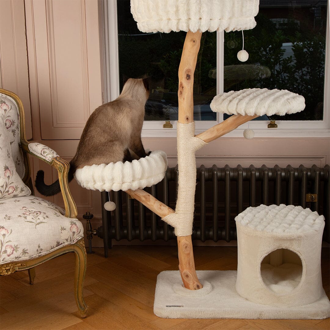 Alpine Pyrenees Cat Scratcher Tree - Cream