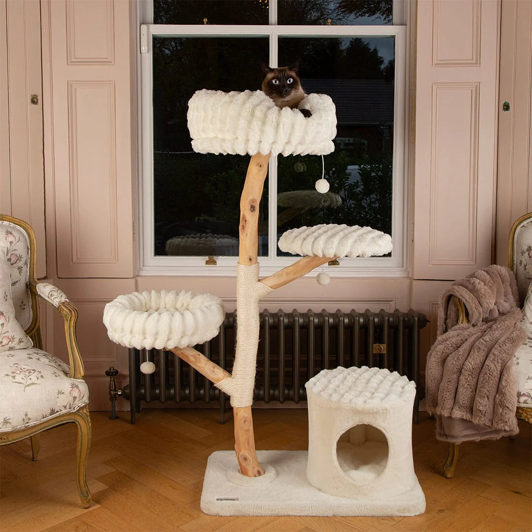 Alpine Pyrenees Cat Scratcher Tree - Cream
