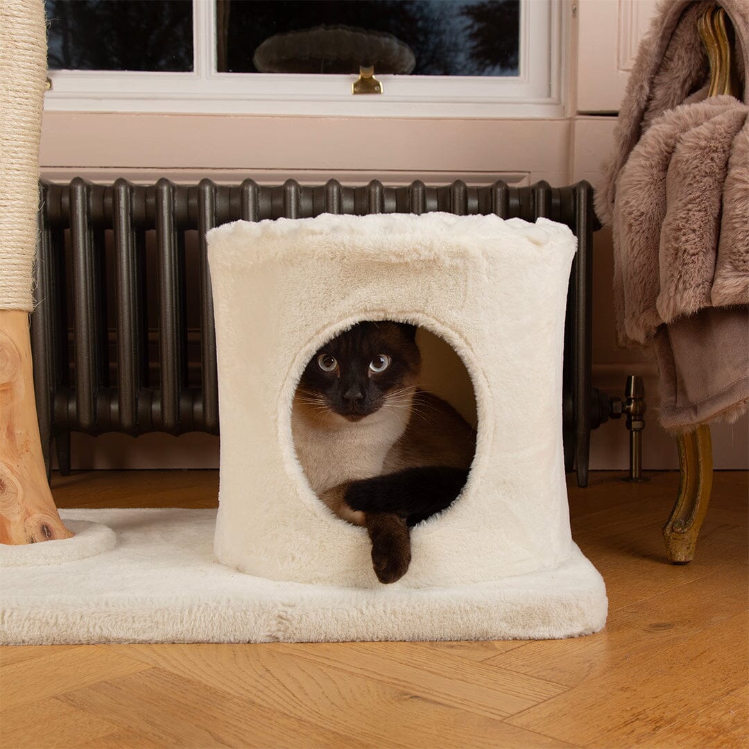 Alpine Pyrenees Cat Scratcher Tree - Cream