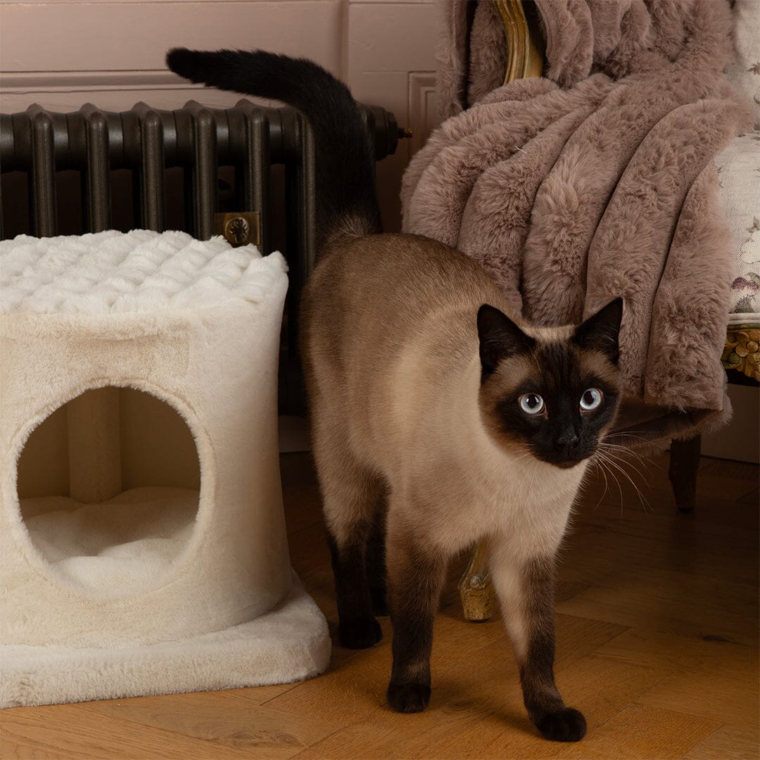 Alpine Pyrenees Cat Scratcher Tree - Cream