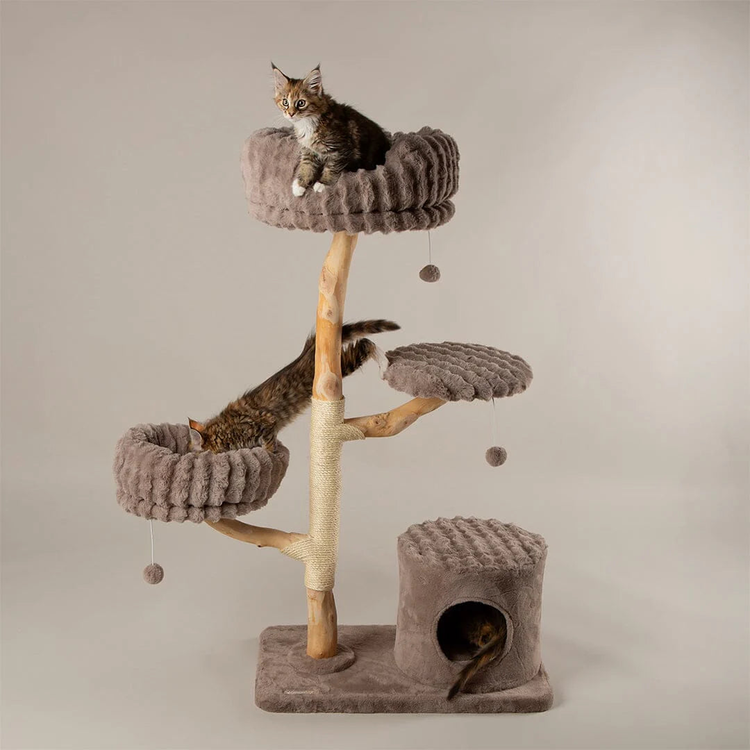 Alpine Pyrenees Cat Scratcher Tree - Taupe