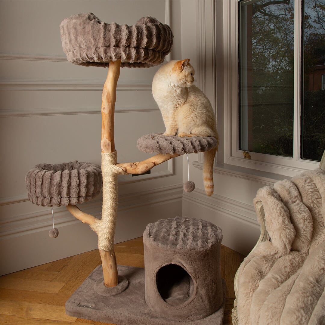 Alpine Pyrenees Cat Scratcher Tree - Taupe