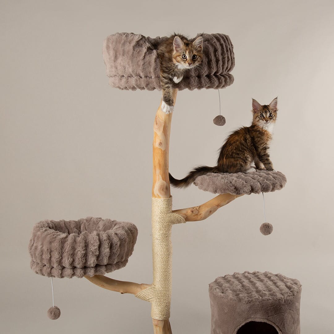 Alpine Pyrenees Cat Scratcher Tree - Taupe