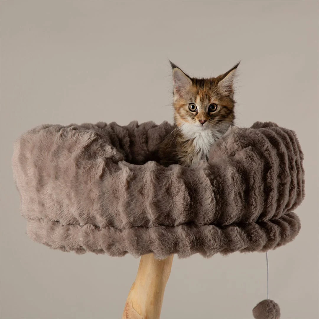 Alpine Pyrenees Cat Scratcher Tree - Taupe