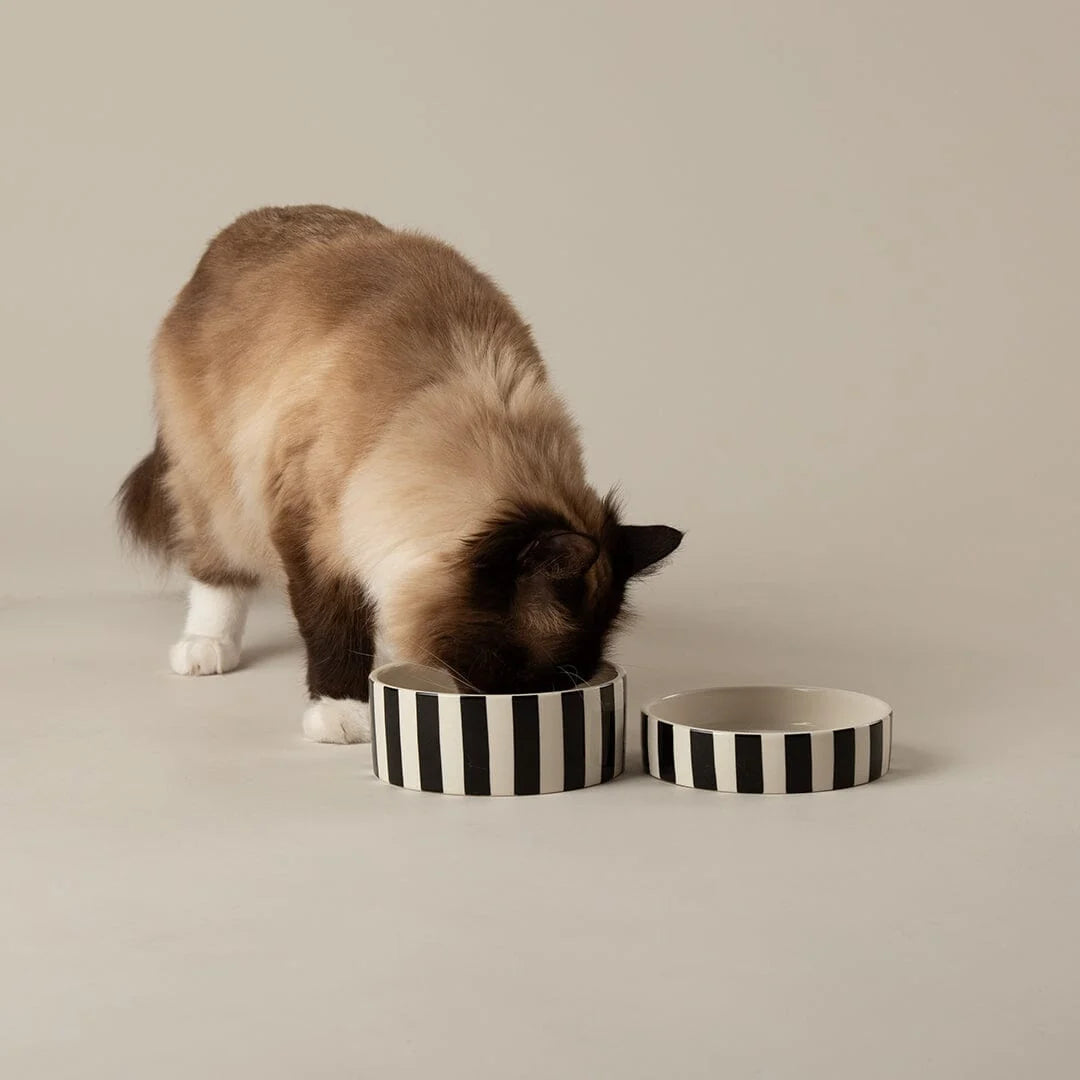 Amalfi Striped 2 Piece Cat Food Bowl & Saucer Set - Black