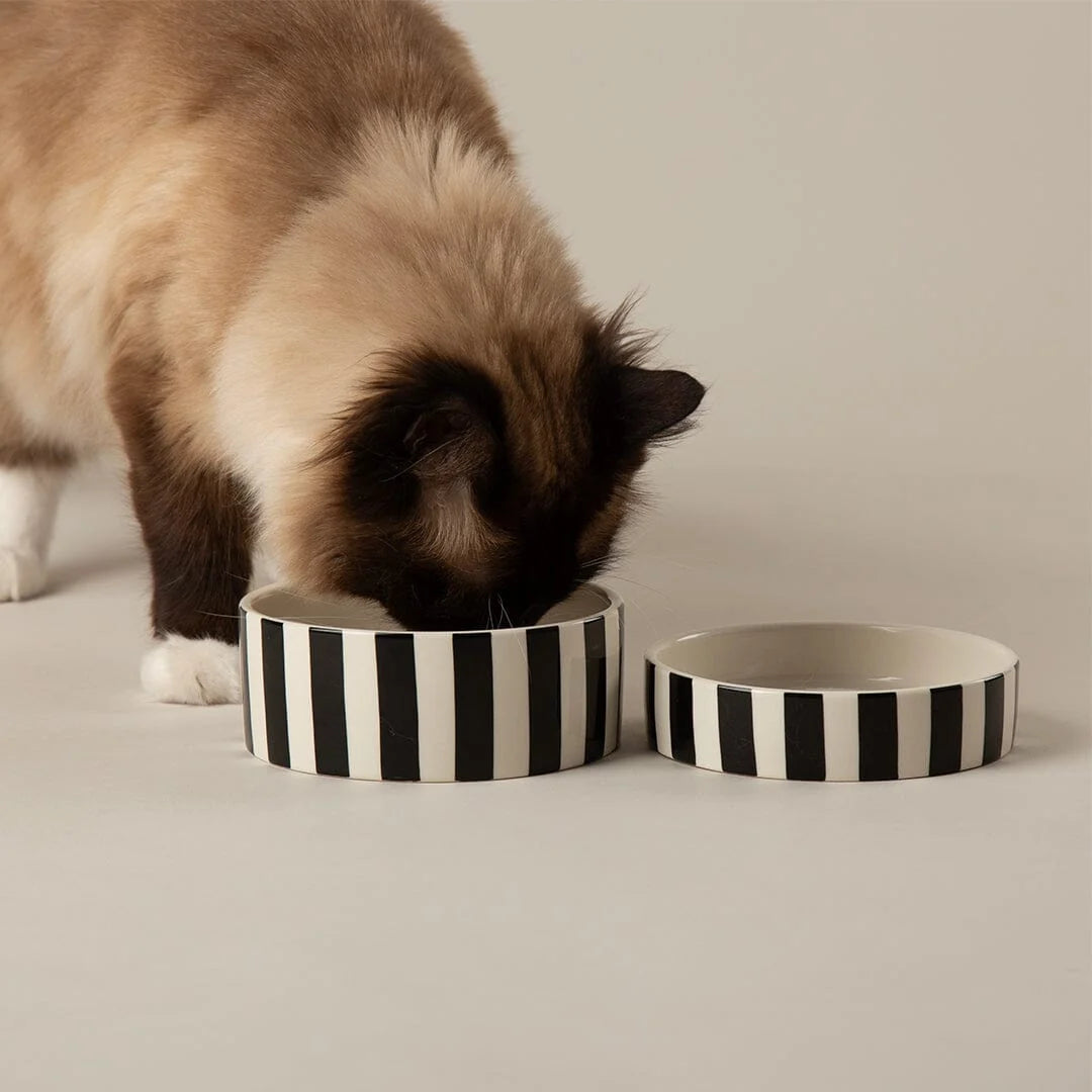 Amalfi Striped 2 Piece Cat Food Bowl & Saucer Set - Black