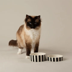 Amalfi Striped 2 Piece Cat Food Bowl & Saucer Set - Black