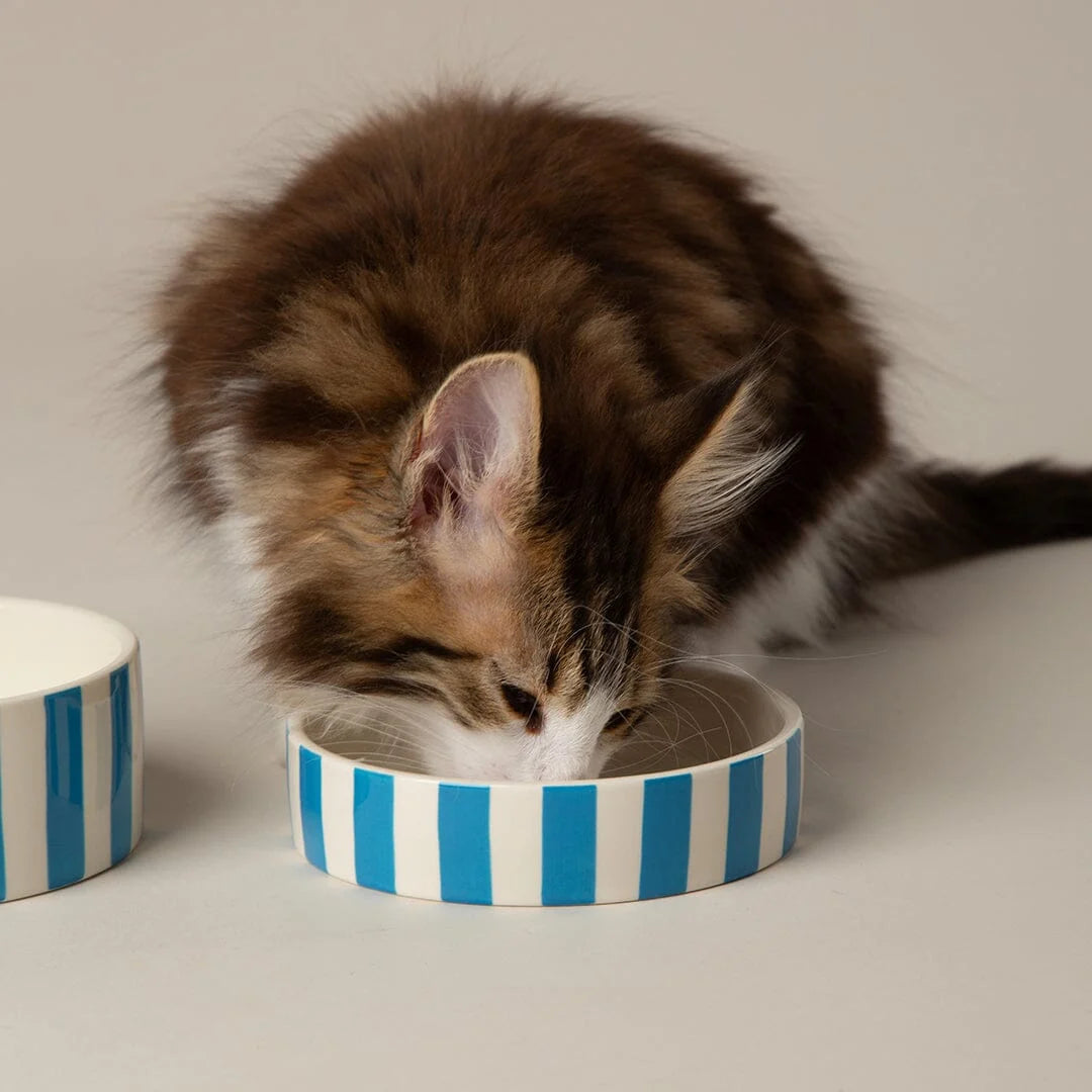 Amalfi Striped 2 Piece Cat Food Bowl & Saucer Set - Blue