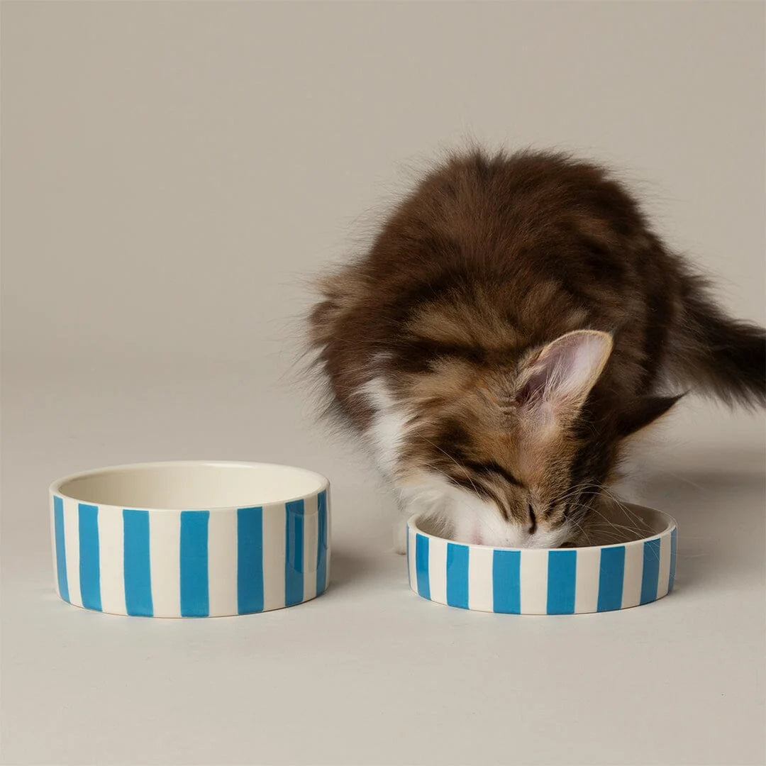 Amalfi Striped 2 Piece Cat Food Bowl & Saucer Set - Blue