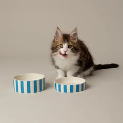 Amalfi Striped 2 Piece Cat Food Bowl & Saucer Set - Blue