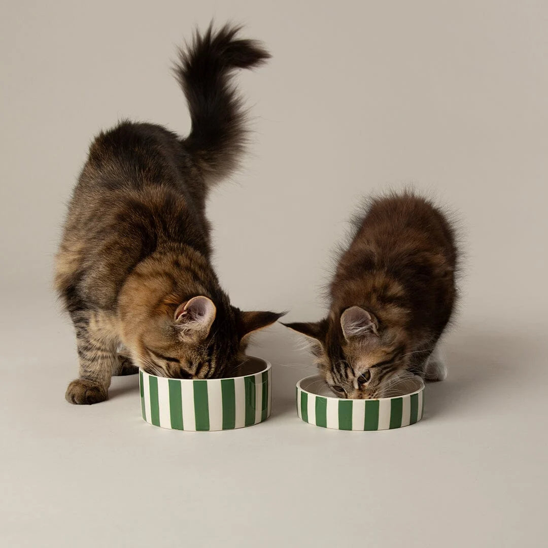Amalfi Striped 2 Piece Cat Food Bowl & Saucer Set - Green