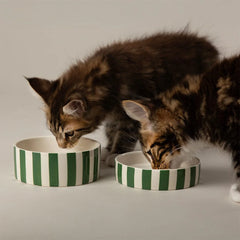 Amalfi Striped 2 Piece Cat Food Bowl & Saucer Set - Green