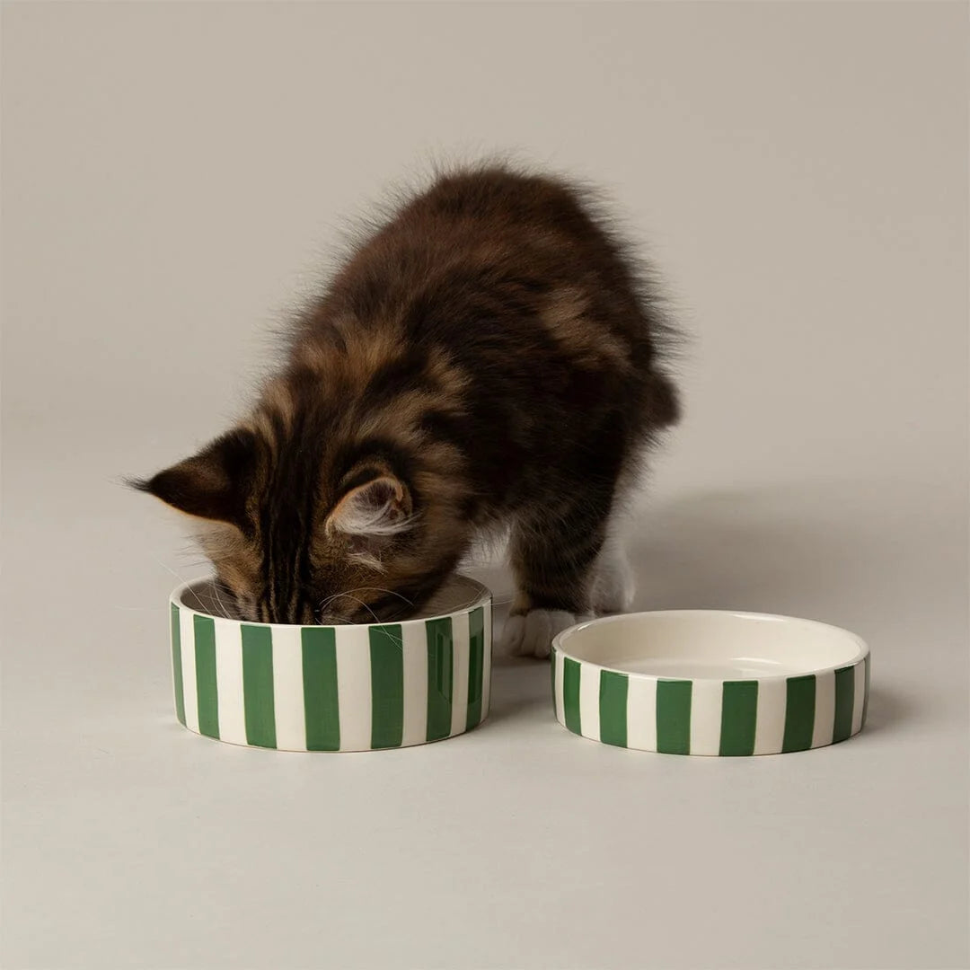 Amalfi Striped 2 Piece Cat Food Bowl & Saucer Set - Green