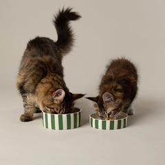 Amalfi Striped 2 Piece Cat Food Bowl & Saucer Set - Green