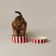 Amalfi Striped 2 Piece Cat Food Bowl & Saucer Set - Red