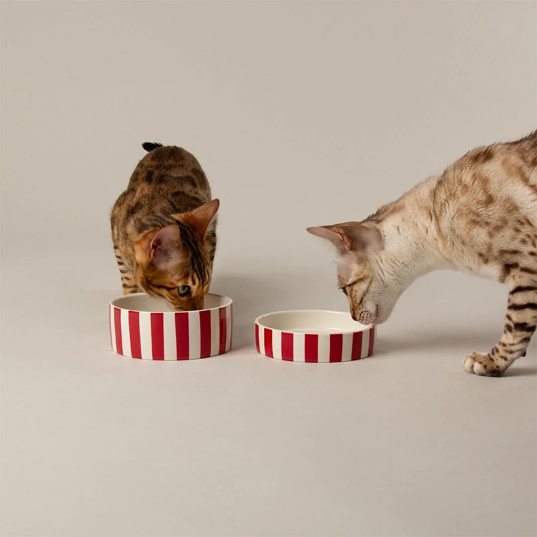 Amalfi Striped 2 Piece Cat Food Bowl & Saucer Set - Red