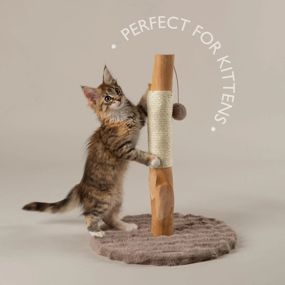 Alpine Andes 'My First' Cat Scratching Post - Taupe
