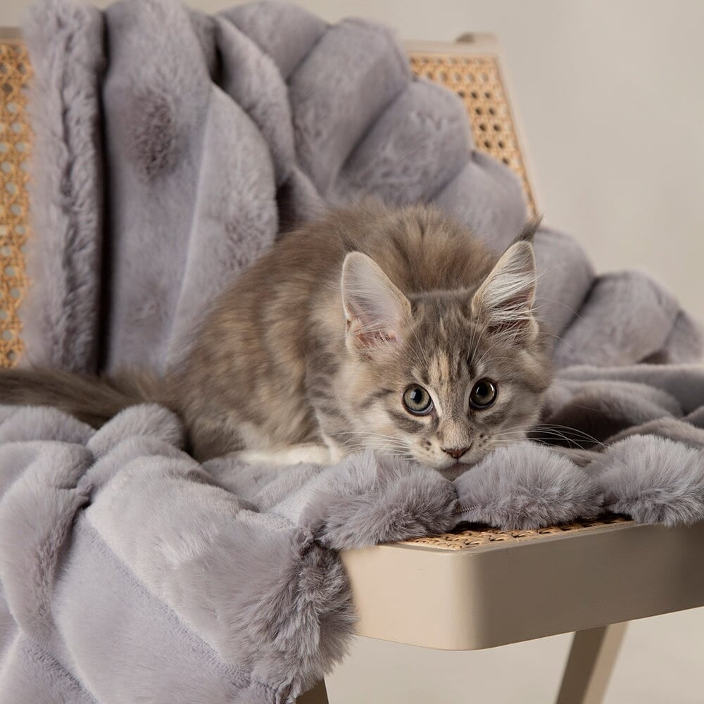 Aspen Cat Blanket - Grey 2