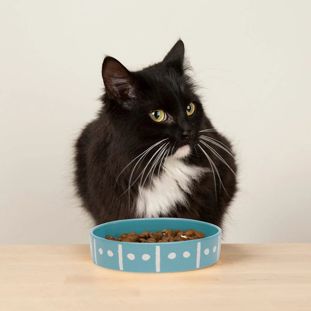 Aztec 2 Piece Cat Food Bowl & Saucer Set - Turquoise Blue