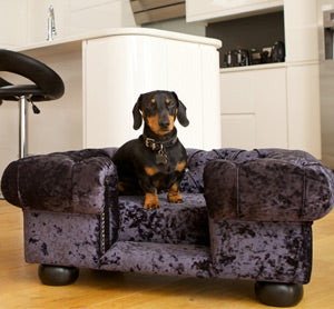 Balmoral Cat Chesterfield Ebony Crushed Velvet 2