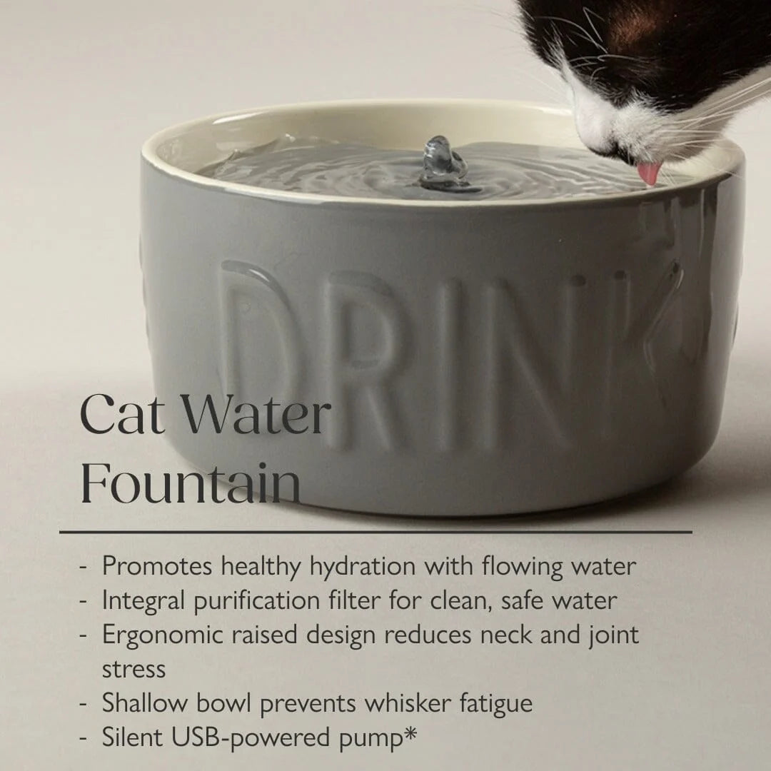 Classic Cat Water Fountain 20cm - Grey
