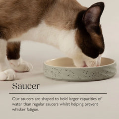 Zen 2 Piece Raised Cat Feeder & Saucer Set 