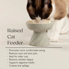 Zen 2 Piece Raised Cat Feeder & Saucer Set 