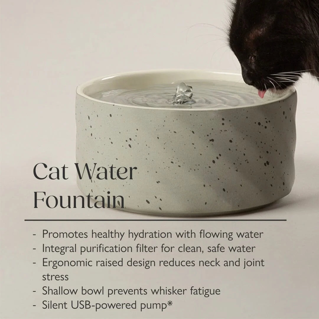 Zen Cat Water Fountain 20cm - Grey