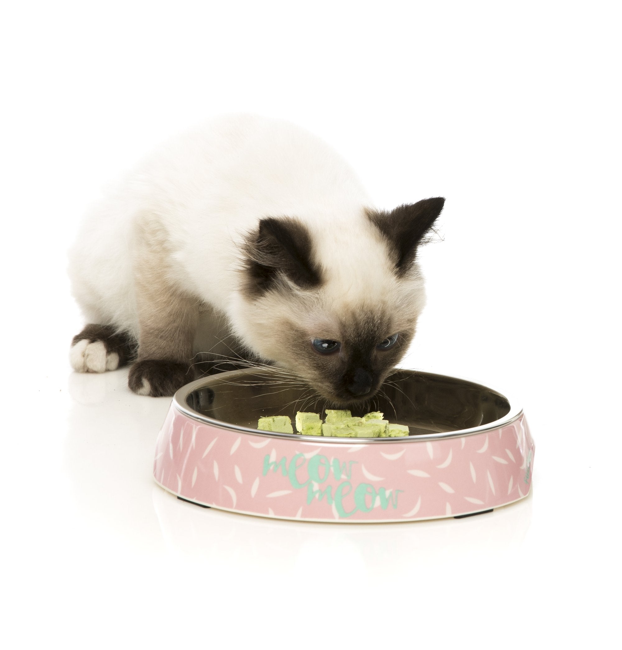 FuzzYard Featherstorm Cat Feeding Bowl