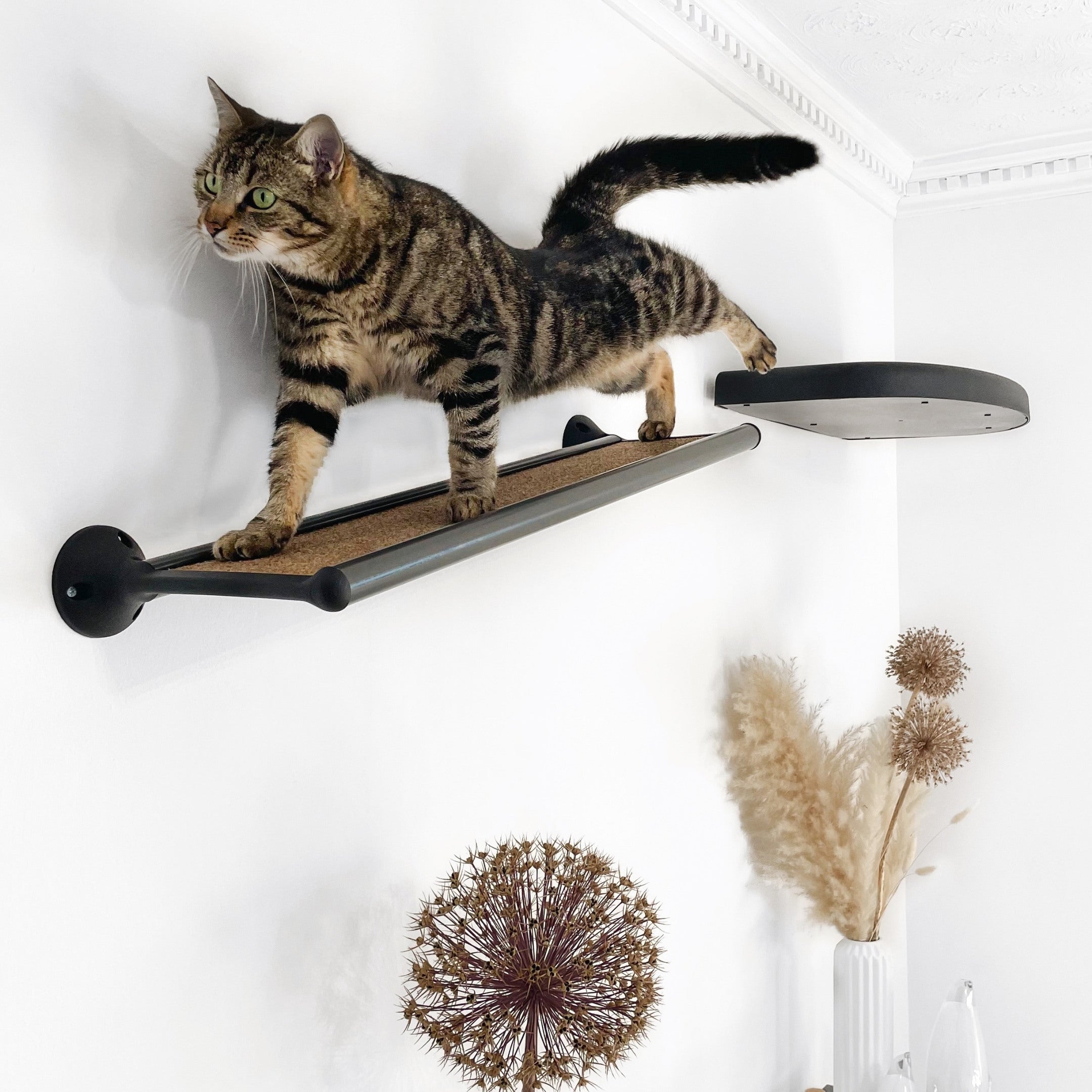 Catipilla Wall-Mounted CatWalk