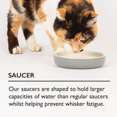 Cat Saucer Bowl