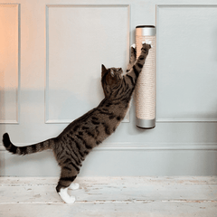 Catipilla Wall-Mounted Cat Scratcher 3