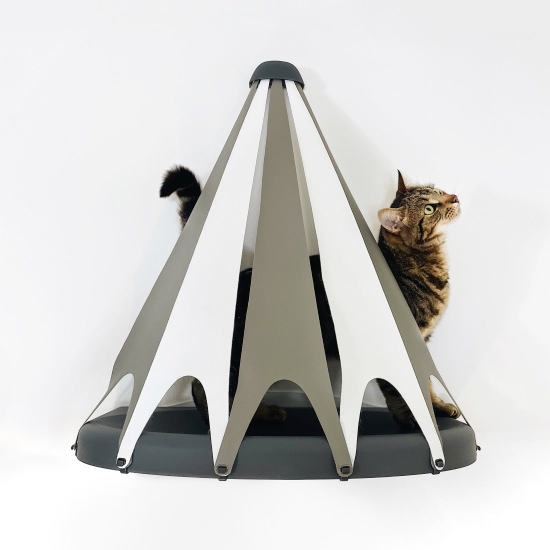 Catipilla TeePee Tent