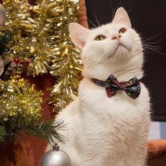 Christmas Snowflakes Cat Bow Tie 2