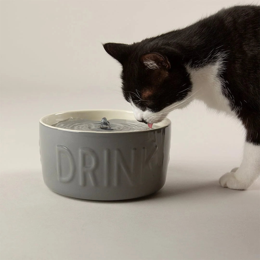 Classic Cat Water Fountain 20cm - Grey