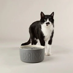 Classic Cat Water Fountain 20cm - Grey