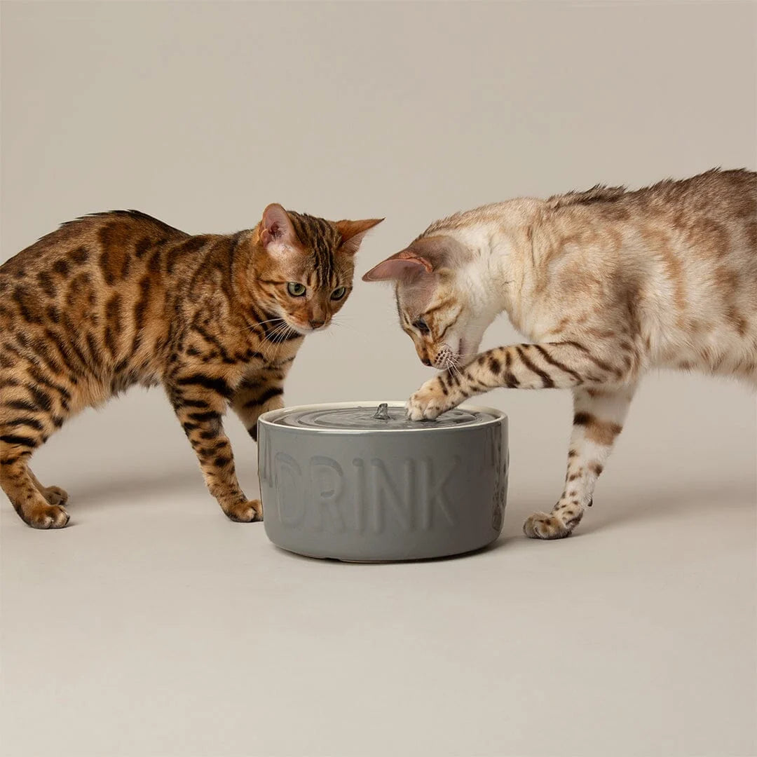 Classic Cat Water Fountain 20cm - Grey