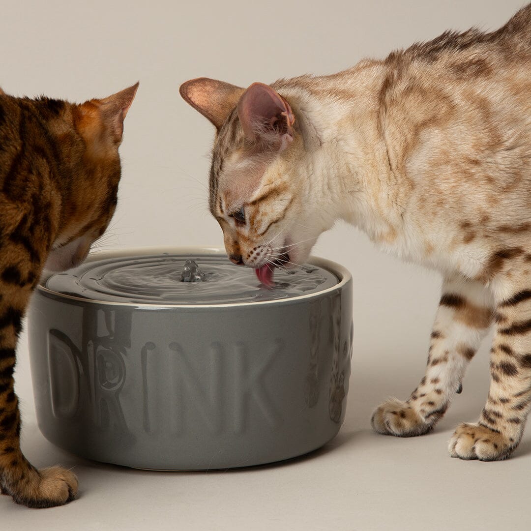 Classic Cat Water Fountain 20cm - Grey
