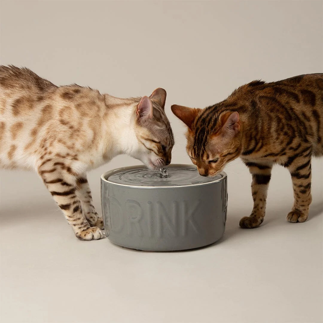 Classic Cat Water Fountain 20cm - Grey