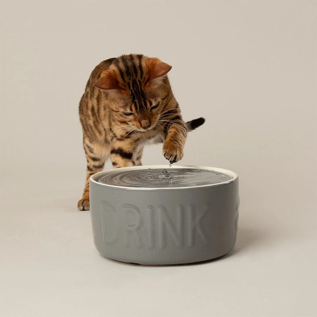 Classic Cat Water Fountain 20cm - Grey