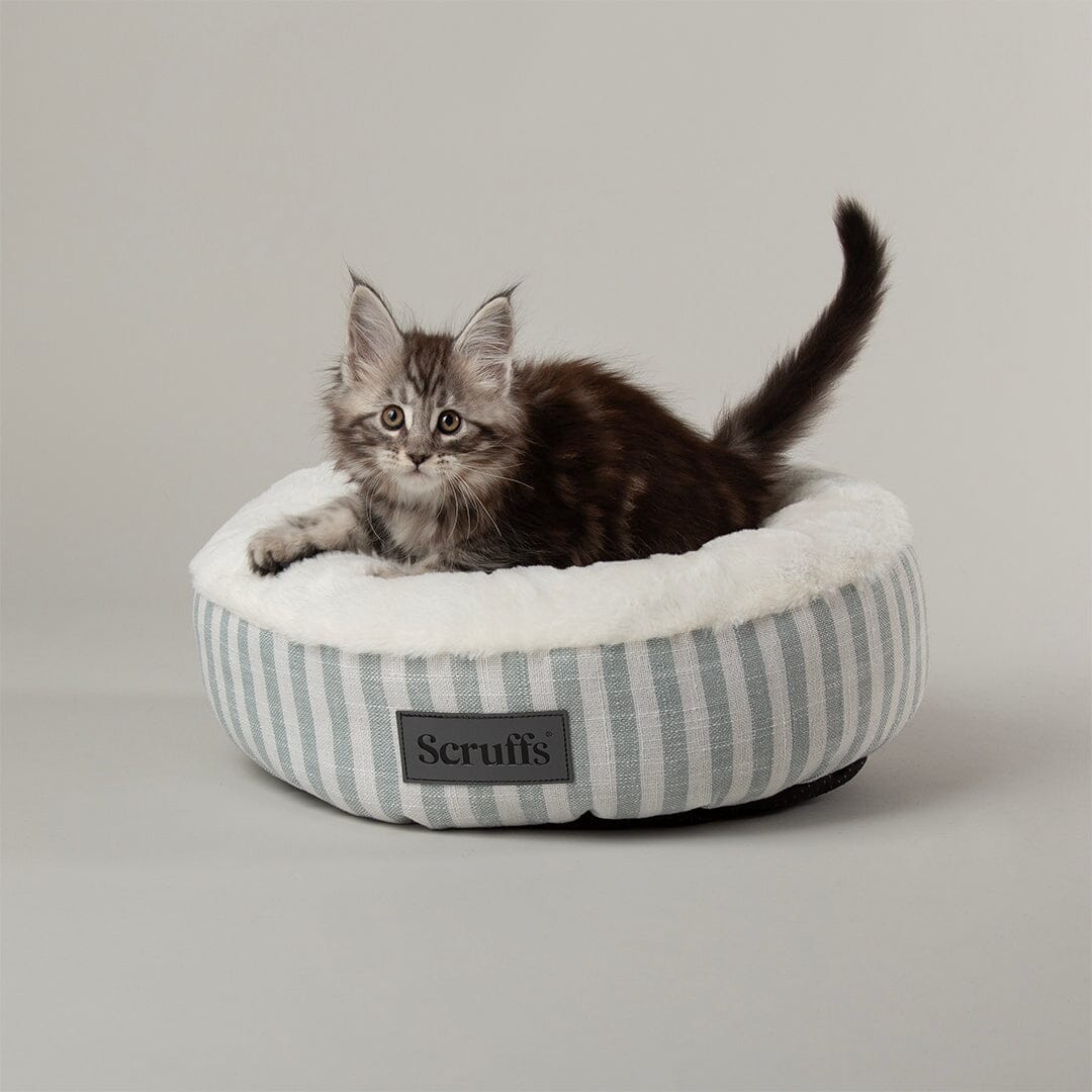 Coastal Stripe Cat Bed - Green