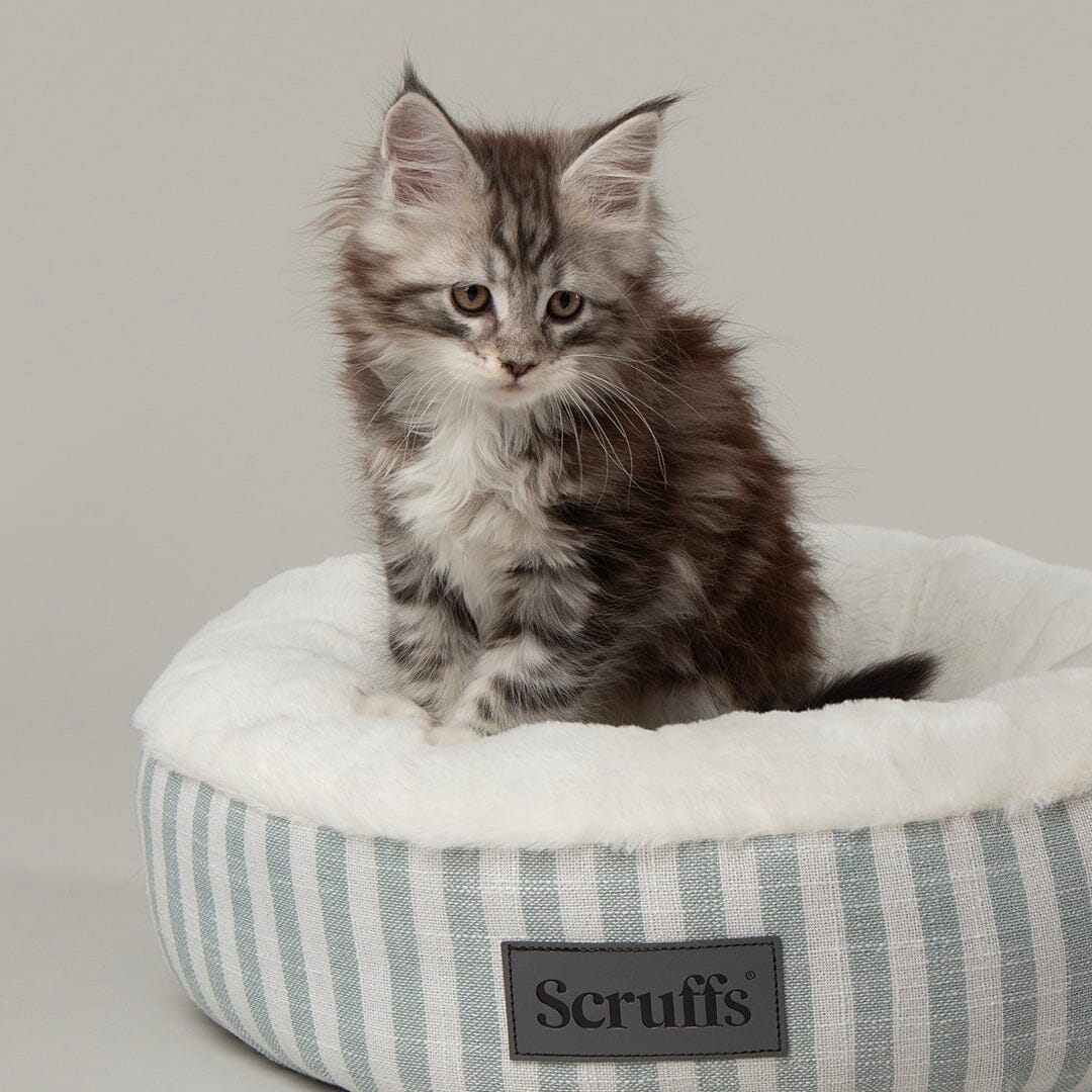 Coastal Stripe Cat Bed - Green