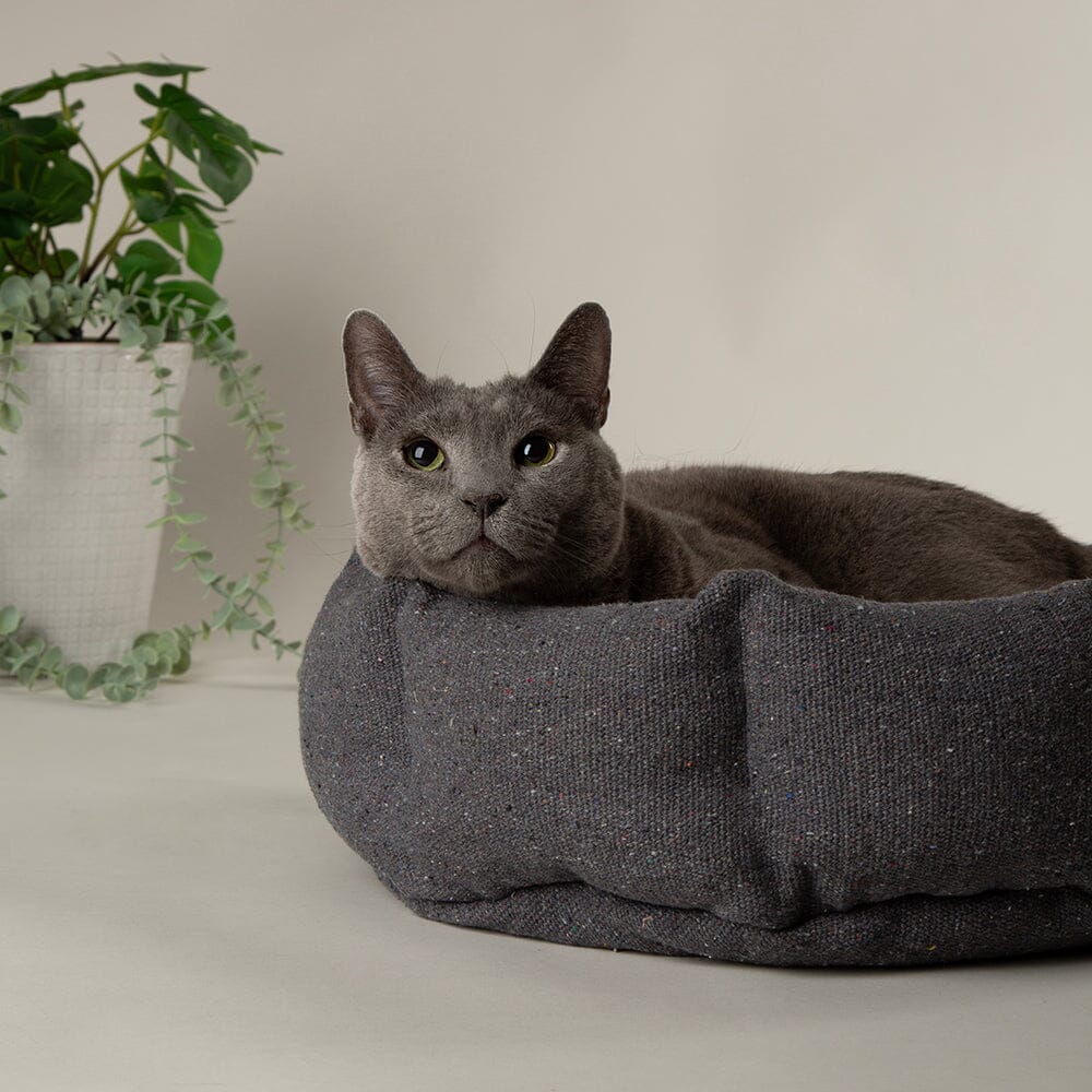 Eden 100% Recycled Cat Bed - Charcoal Grey
