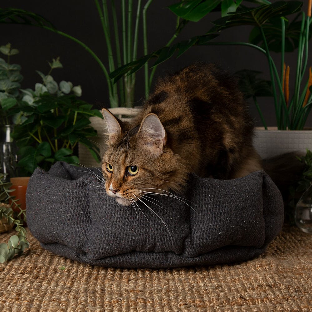 Eden 100% Recycled Cat Bed - Charcoal Grey