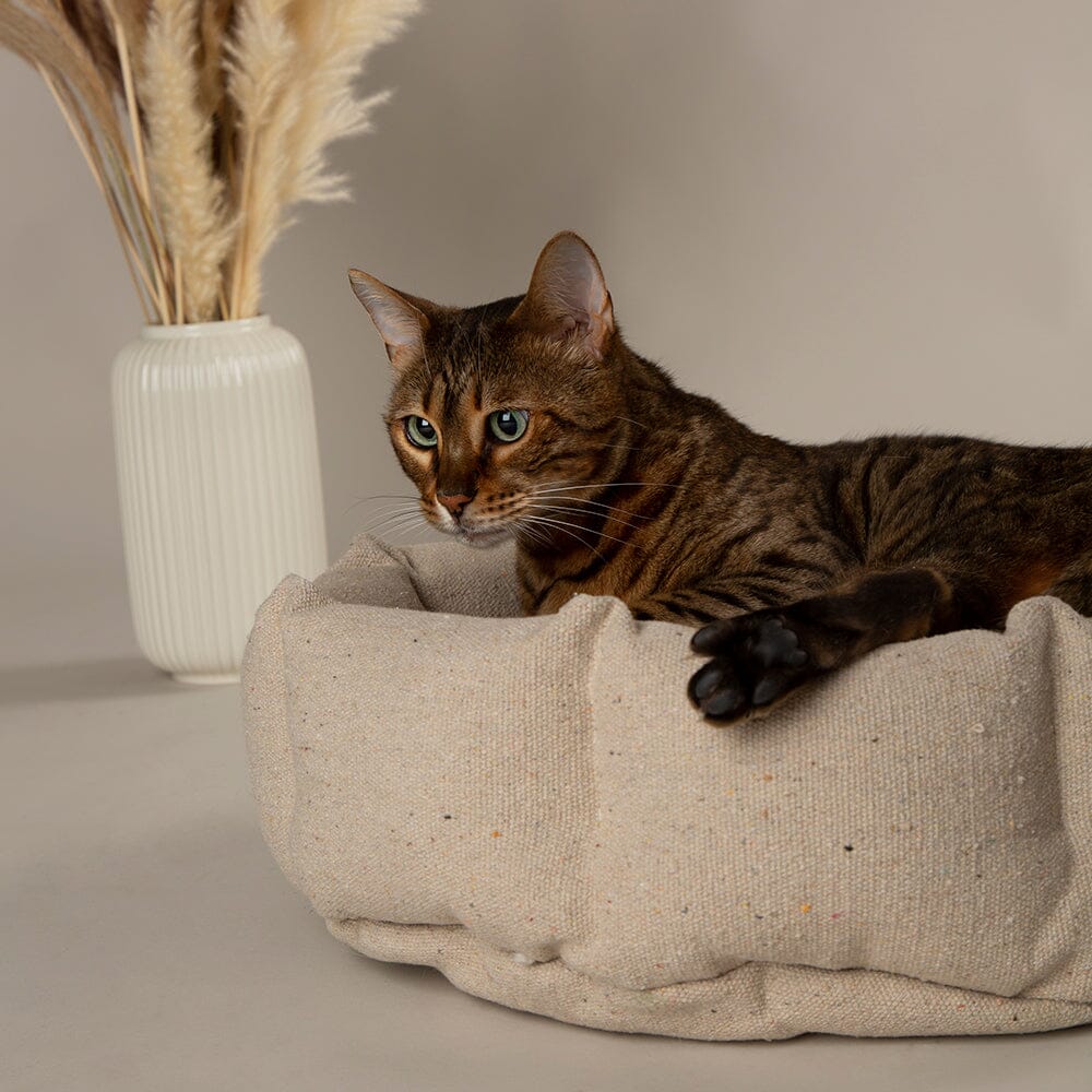 Eden 100% Recycled Cat Bed - Cream